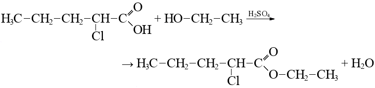 Бутановая кислота структурная. Этиловый эфир масляной кислоты структурная формула. Этанол в этиловый эфир масляной кислоты. Формула масляной этилового эфира. Этиловый эфир α-бром-α-метилпропионовой кислоты.