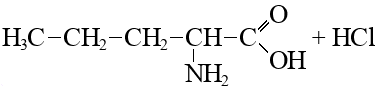 2 метилпентановая кислота формула. 4 Метилвалериановая кислота формула. 3 Метил 2 хлорбутаналь. 4 Метилпентановая кислота формула. 4 Метилпентановая кислота структурная формула.