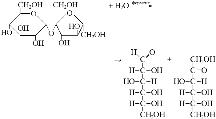 Гидролизу подвергается глюкоза рибоза фруктоза. Сахароза фруктоза Глюкоза фермент. Гидролиз сахарозы структурная формула. Взаимодействие сахарозы с водой. Сахароза структурная формула.